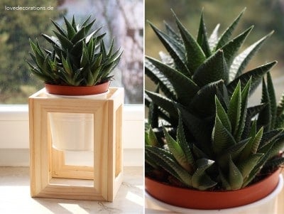 DIY Pflanzenständer aus Fotorahmen