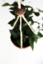 DIY Kokosnuss-Makramee-Blumenampel