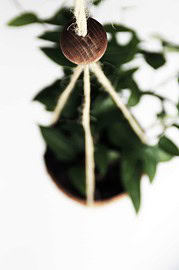 DIY Kokosnuss-Makramee-Blumenampel