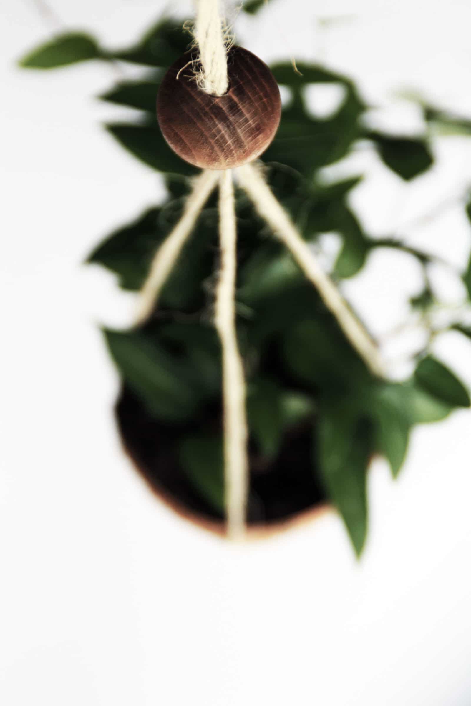 DIY Kokosnuss-Makramee-Blumenampel