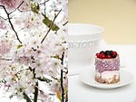 Beerentörtchen mit Knäckebrotboden – ohne Backen