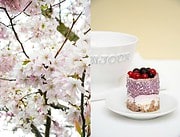 Beerentörtchen mit Knäckebrotboden – ohne Backen