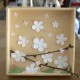 Kirschblüten in der Box
