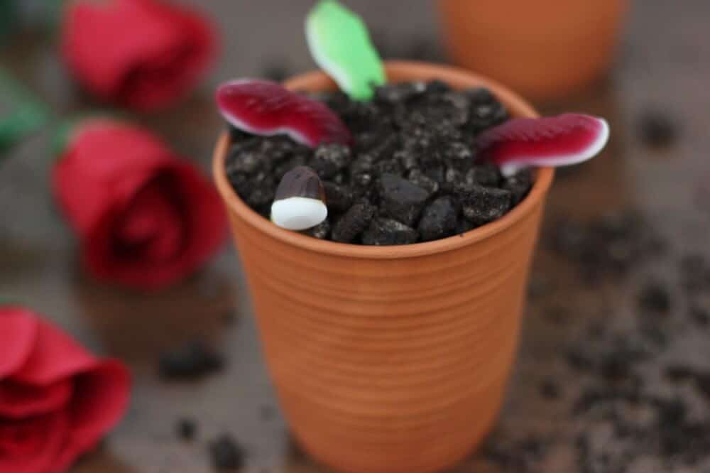 Blumentopfkuchen