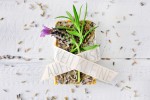 Geschenkidee, nicht nur zum Muttertag: 3 Rezepte für DIY Seife
