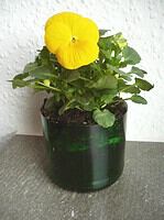 Ein Blumentopf aus Altglas – Upcycling