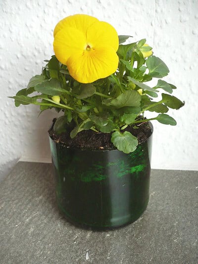 Ein Blumentopf aus Altglas - Upcycling