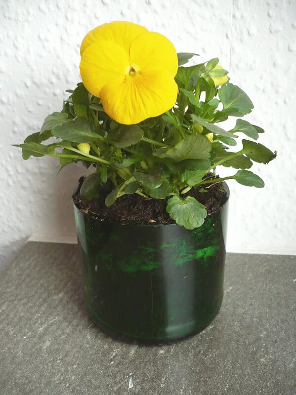 Ein Blumentopf aus Altglas - Upcycling