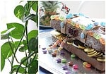 {Piratenparty: } Tipps und Ideen für den Kindergeburtstag