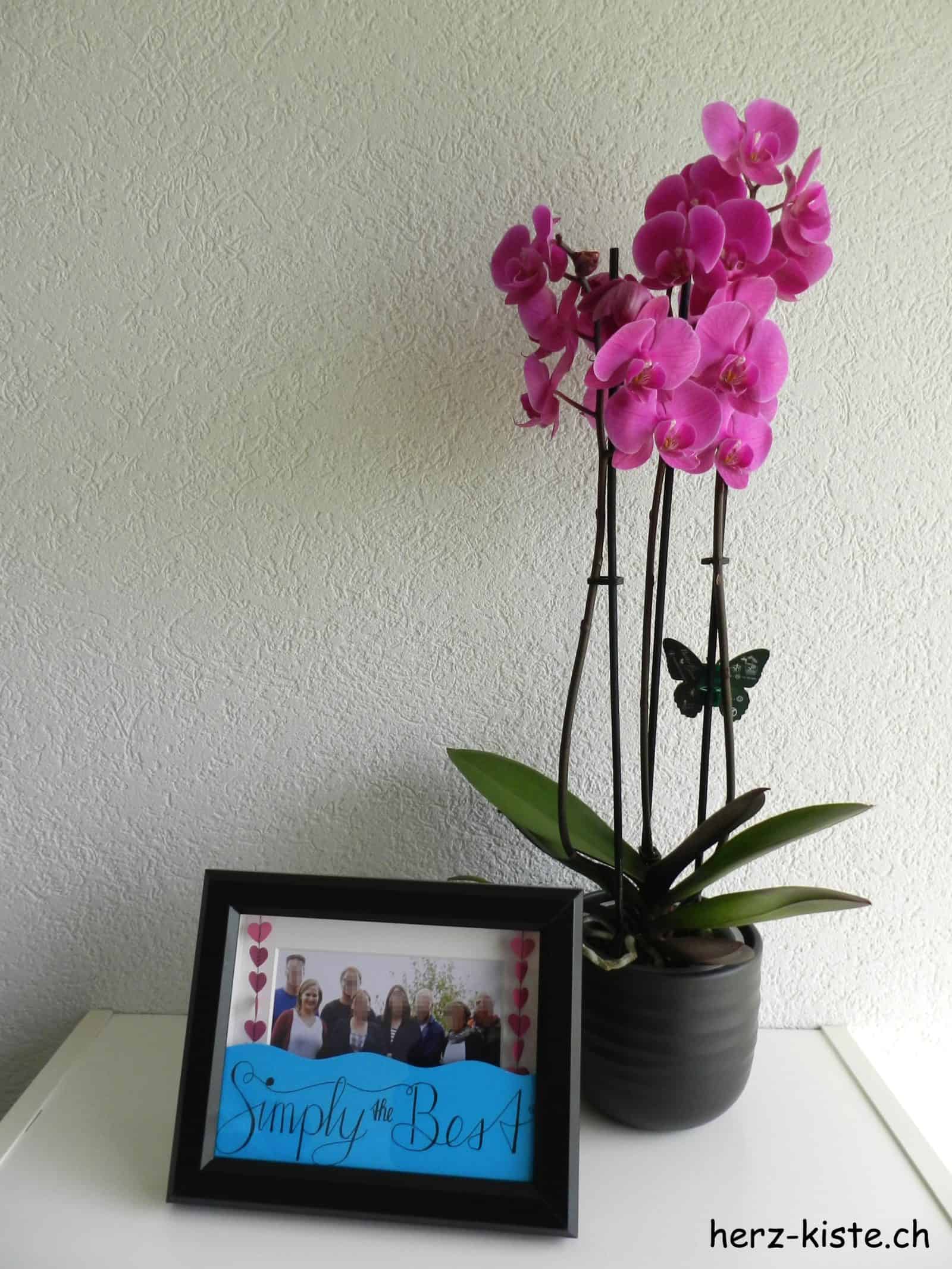 DIY Bilderrahmen zum Vatertag