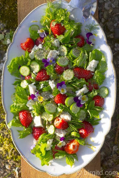 Frühlingsfrischer Salat mit Fenchel, Erdbeeren, Gurken, Schafskäse, Chia-Samen & mehr [Birgit D]