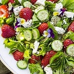 Frühlingsfrischer Salat mit Fenchel, Erdbeeren, Gurken, Schafskäse, Chia-Samen & mehr [Birgit D]