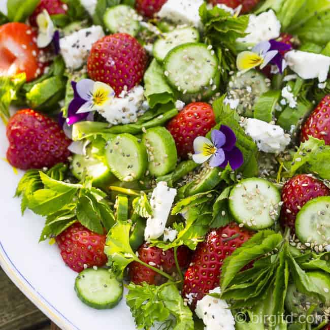 Frühlingsfrischer Salat mit Fenchel, Erdbeeren, Gurken, Schafskäse, Chia-Samen & mehr [Birgit D]
