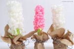 DIY Hyazinthe