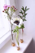 Reagenzglas Vase Basteln