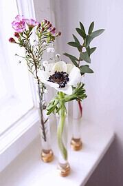Reagenzglas Vase Basteln