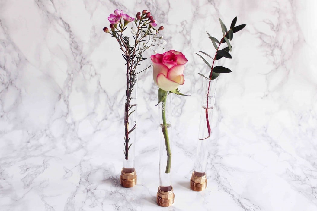 Reagenzglas Vase Basteln