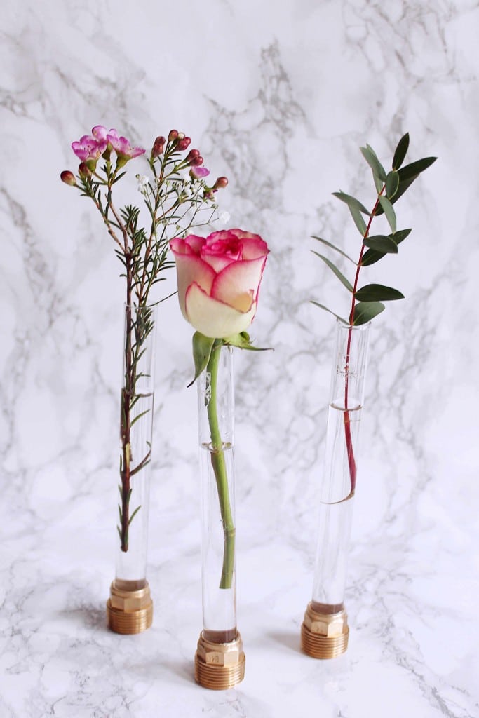 Reagenzglas Vase Basteln