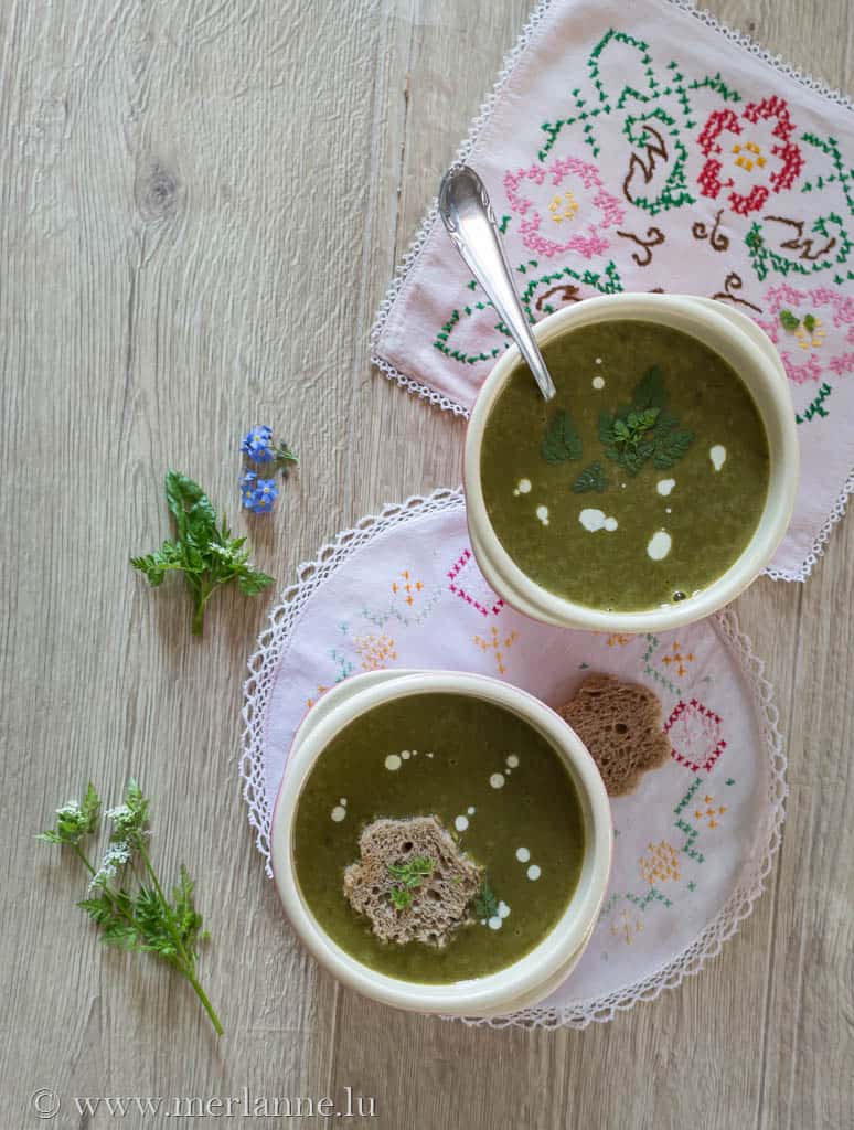 Ein saures Süppchen