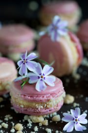 Rhabarber-Crumble-Macarons mit Vanillecreme