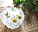 Eiswürfel mit Blüten
