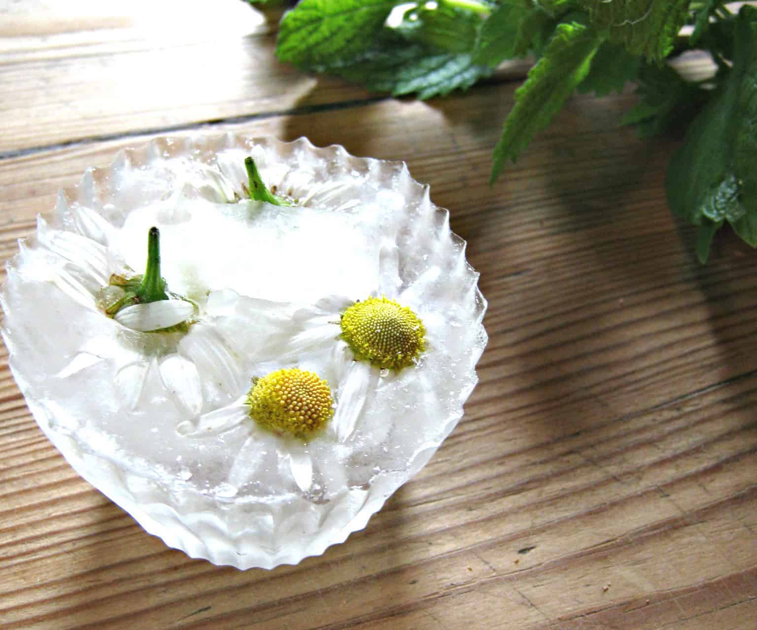Eiswürfel mit Blüten