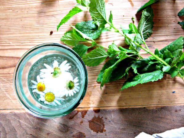 Eiswürfel mit Blüten