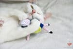 DIY Amigurumi Katzenspielzeug | Adventuretime für die Katz‘