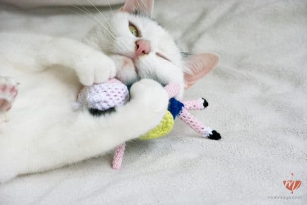 DIY Amigurumi Katzenspielzeug | Adventuretime für die Katz‘