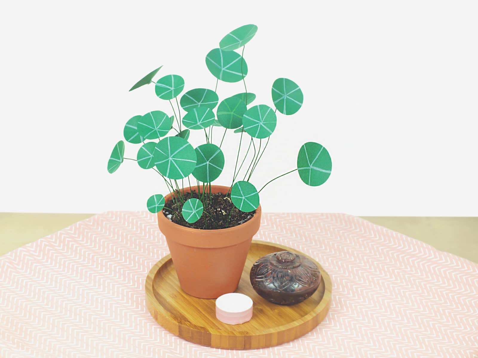 DIY Pflanze aus Papier – Chinesischer Geldbaum