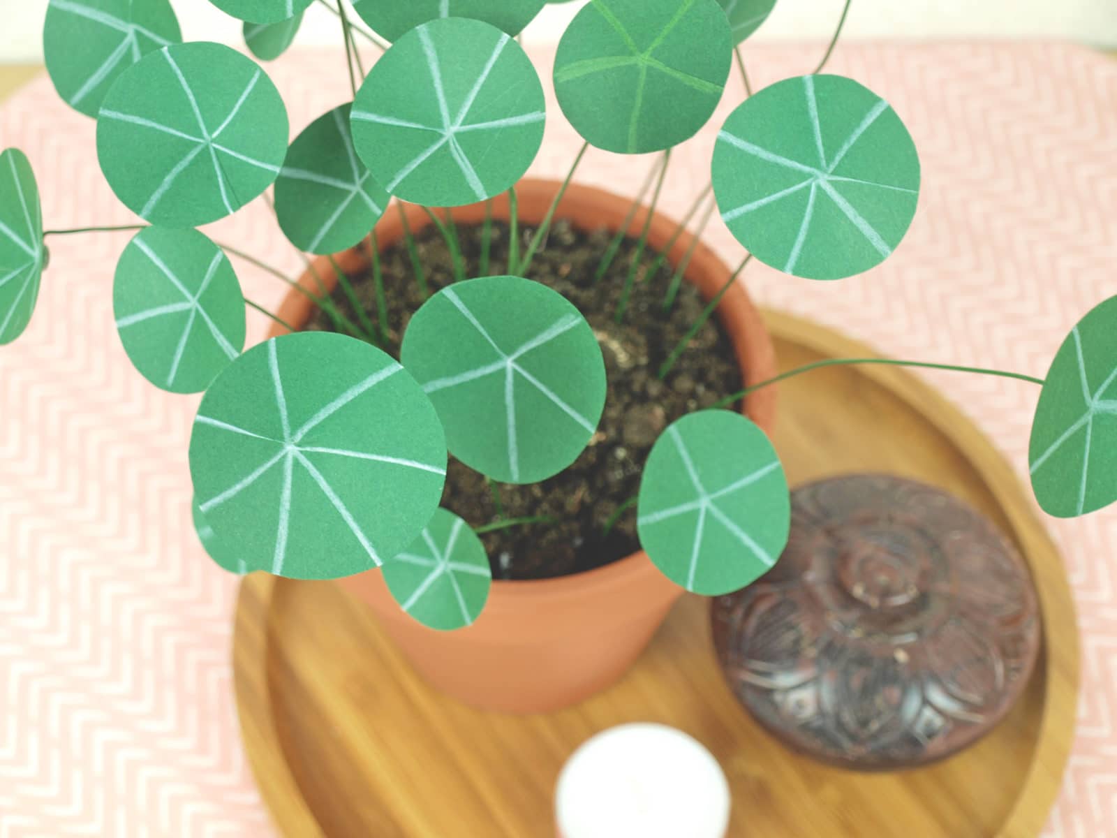 DIY Pflanze aus Papier – Chinesischer Geldbaum
