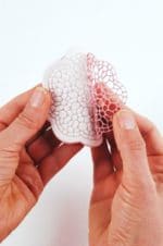 Spitzenornament aus Modelliermasse WeCream