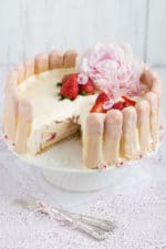 „Erdbeer-Charlotte mit weißer Mousse au Chocolat!“