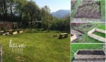 Gemüse anbauen: so klappt es mit der Ernte auch für Gartenneulinge