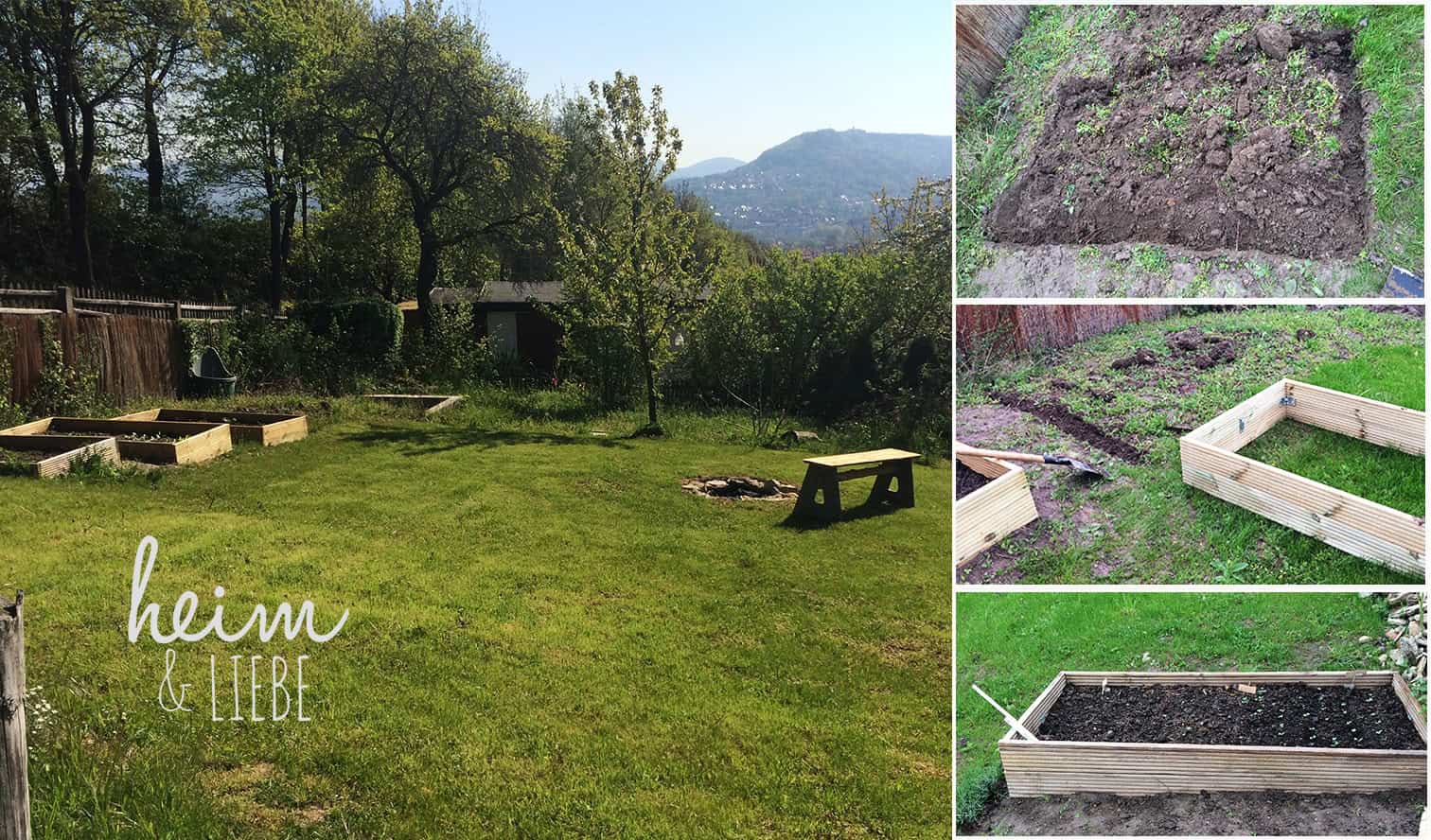 Gemüse anbauen: so klappt es mit der Ernte auch für Gartenneulinge