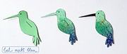 Kleiner Kolibri