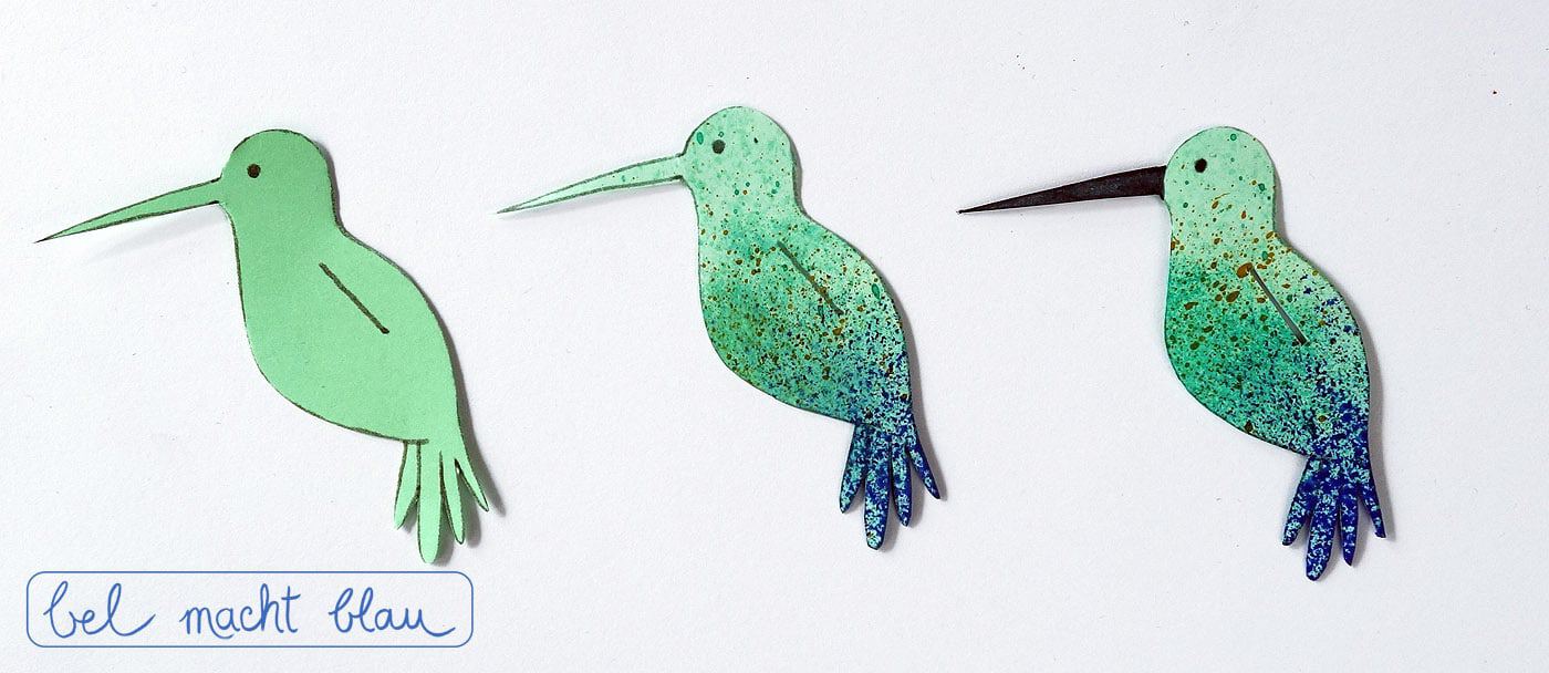Kleiner Kolibri