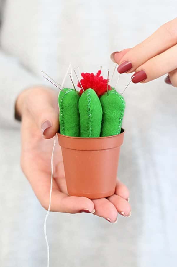 DIY Kaktus Nadelkissen