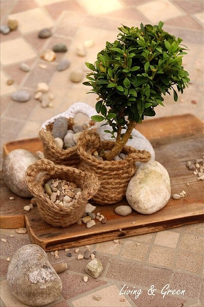 Basket Gardening
