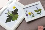Blättertiere basteln (Kostenlose DIY-Anleitung)