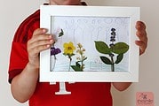 Blättertiere basteln (Kostenlose DIY-Anleitung)