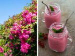 July Mornings: drei Frühstücksideen im Sommer