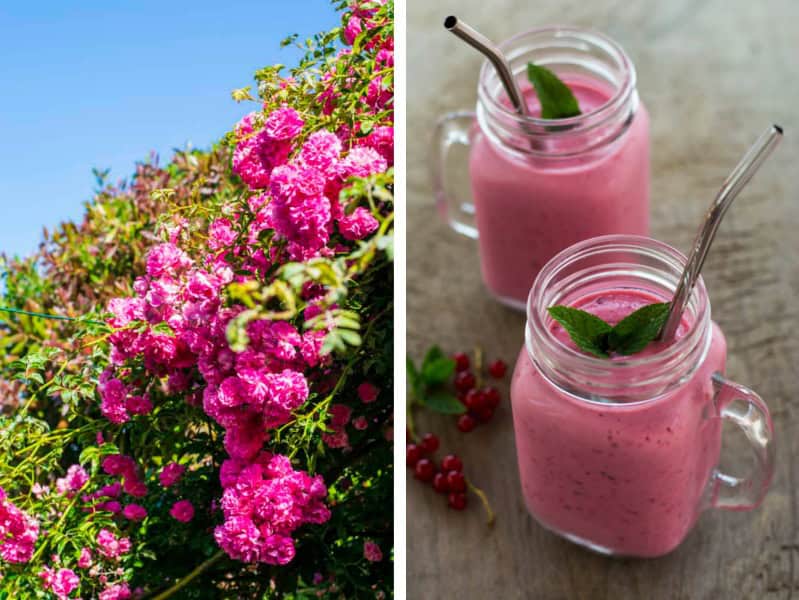 July Mornings: drei Frühstücksideen im Sommer