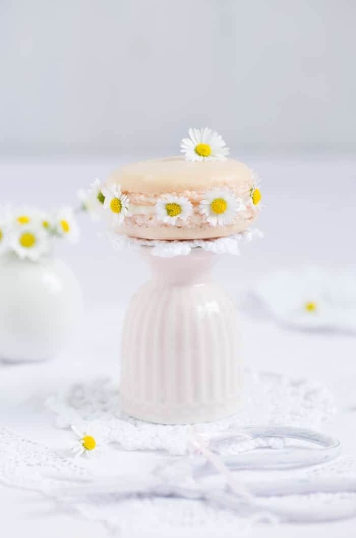 „Gänseblümchen Macarons!“