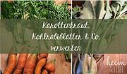 grüner Smoothie mit Blattgrün aus dem Garten