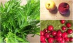 grüner Smoothie mit Blattgrün aus dem Garten