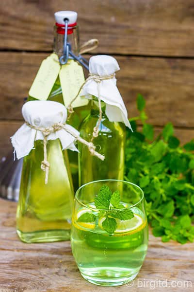 Selbstgemachter Zitronenmelisse-Sirup – erfrischend, aromatisch & gesund ♥ [Birgit D]