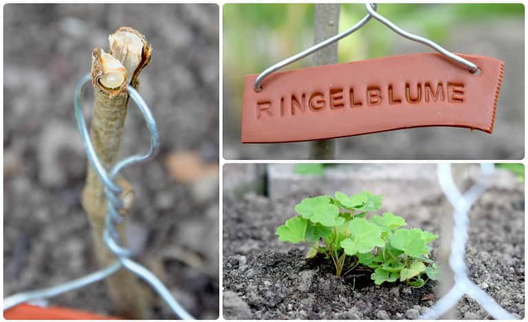 Beitragsbild_Kräuterschilder_3