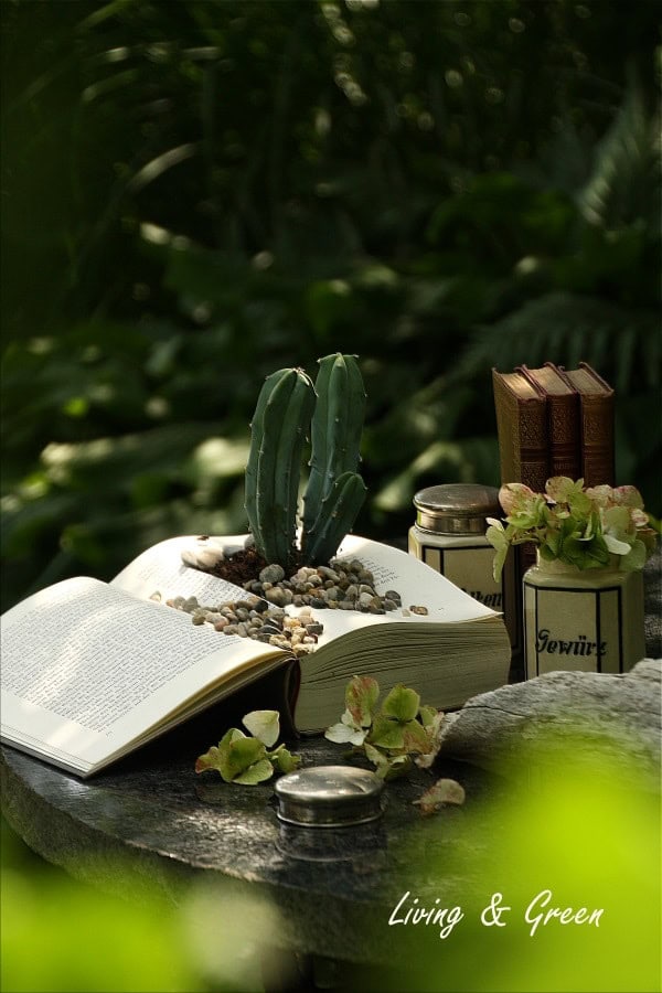 Book Planter DIY