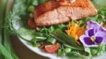 Wildkräutersalat mit Wildlachs